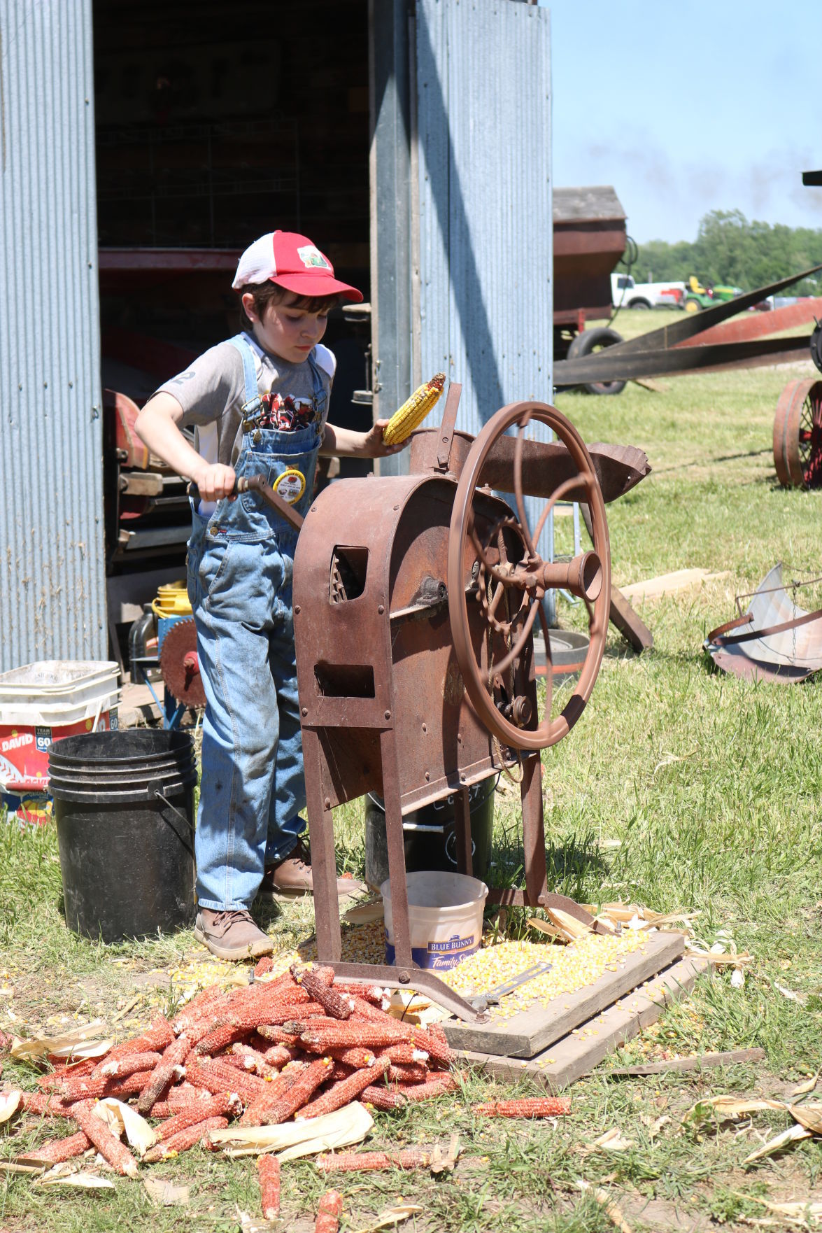 Steam - corn